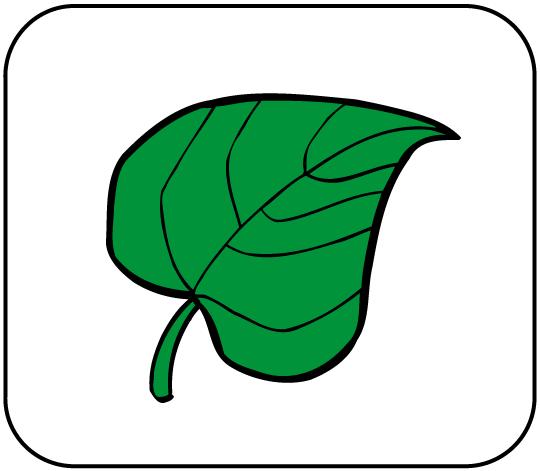 BLATT DAS